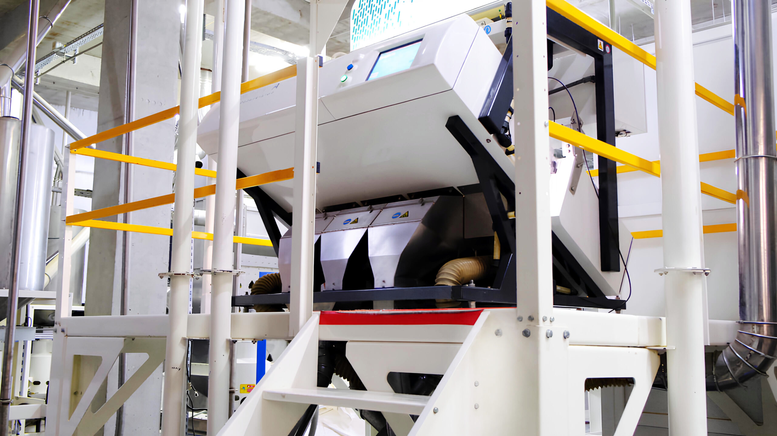 photo_2025-07-30_10-06-56 (1)